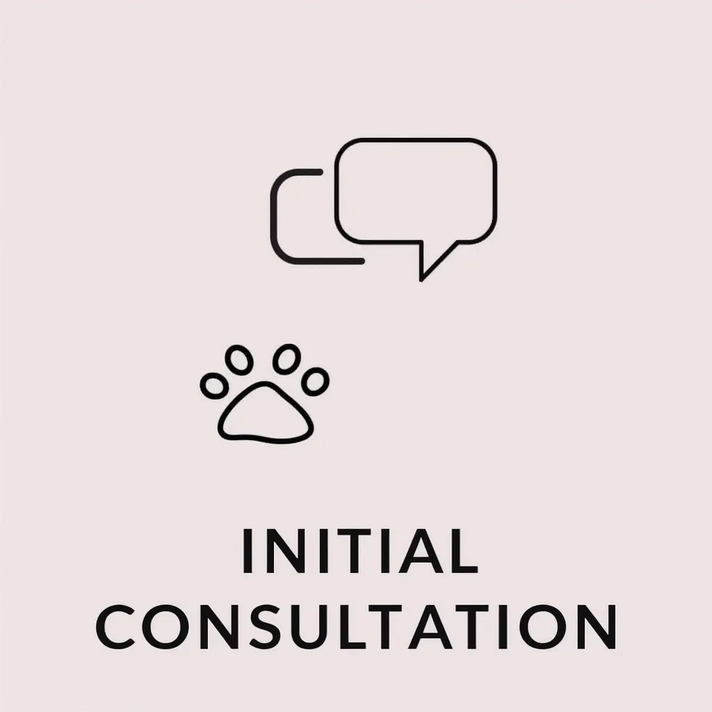 Ícono de consulta